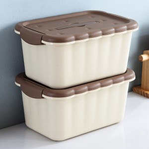 Small Plastic Biscuit Storage box