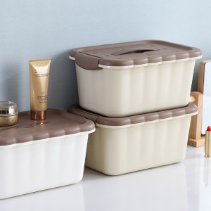 Small Plastic Biscuit Storage box