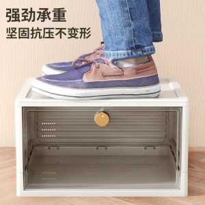 Folding Plastic Storage shoe box