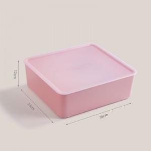 Underwear simple storage plastic box