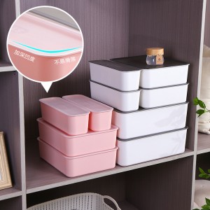 Underwear simple storage plastic box